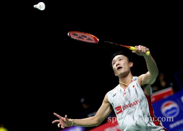 速灵活的进 速灵活的进