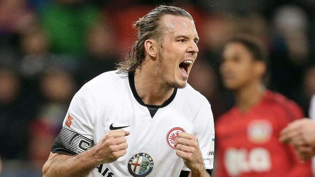 观众将有机 观众将有机